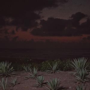 久久精品国产亚洲av高清一区
